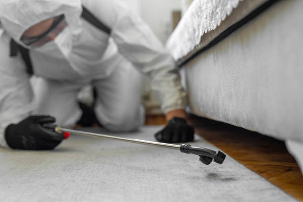 Professional Cockroach Control technician working in Llano Grande, TX