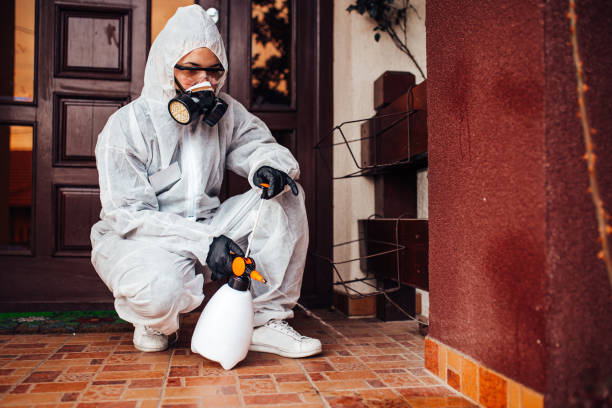 Reliable Cockroach Control contractor in Llano Grande, TX by Nex Pest Control