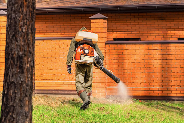 Trusted Termite Control service in Llano Grande, TX - Nex Pest Control